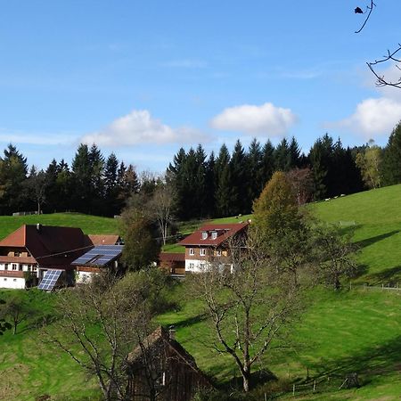 Ferienwohnung Berghansenhof วอลฟาค ภายนอก รูปภาพ