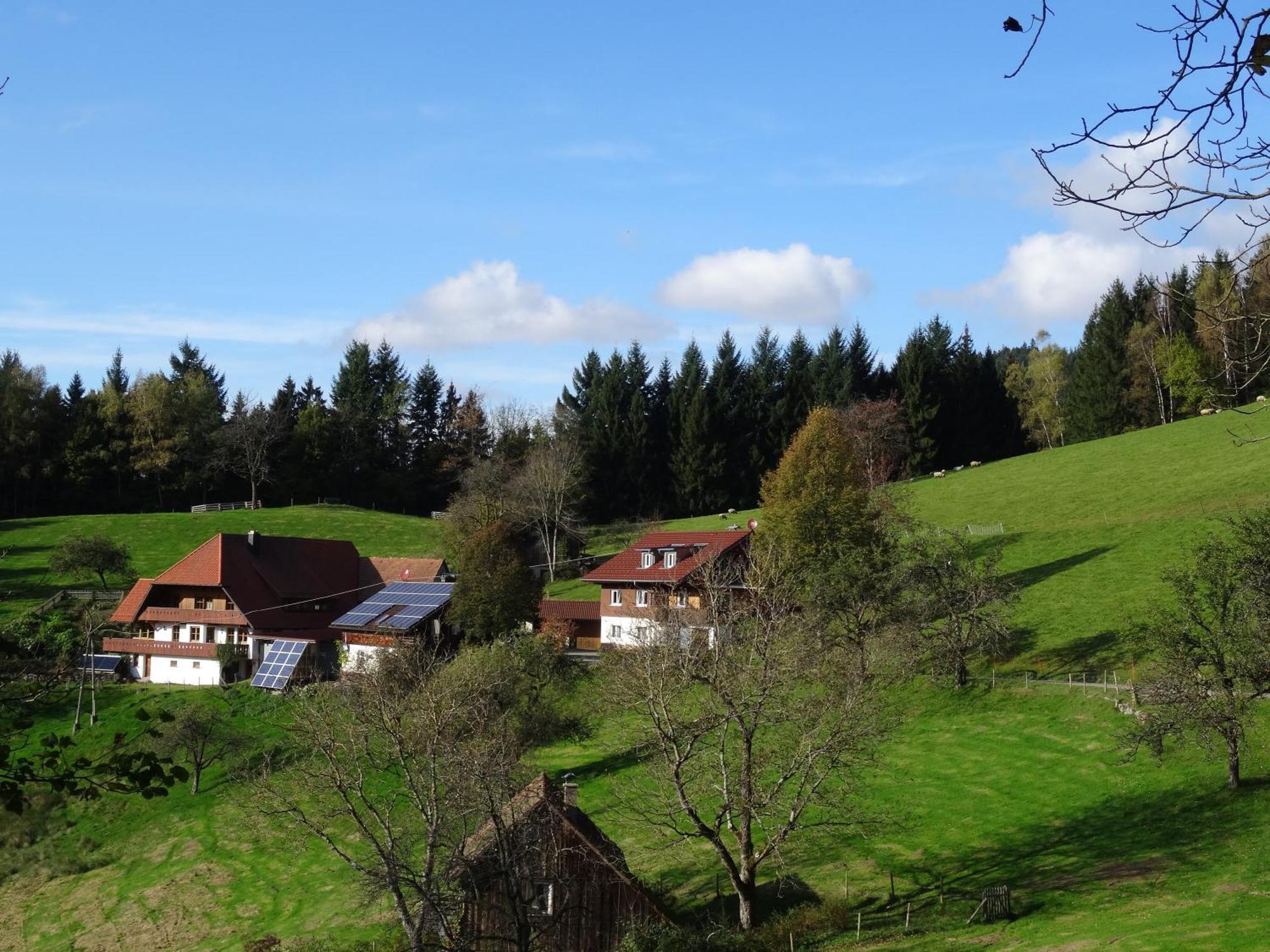 Ferienwohnung Berghansenhof วอลฟาค ภายนอก รูปภาพ